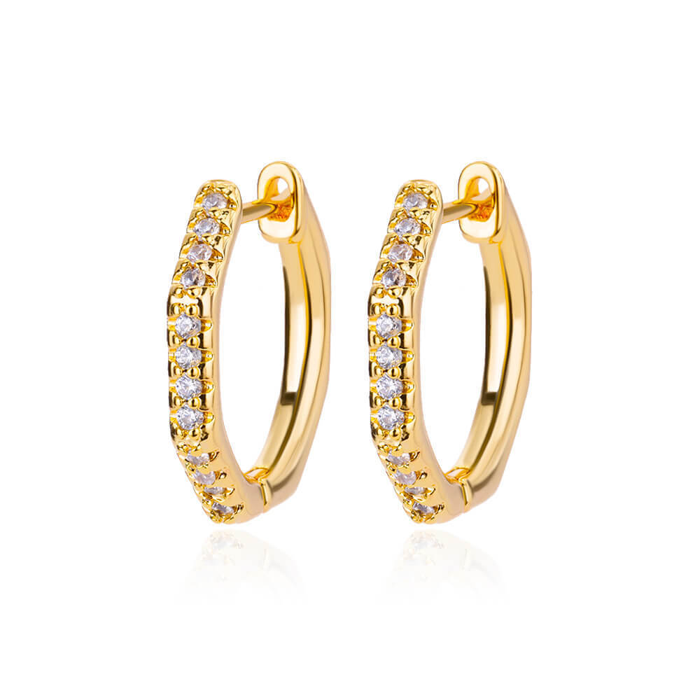 Women's Light Luxury And Simplicity Earrings